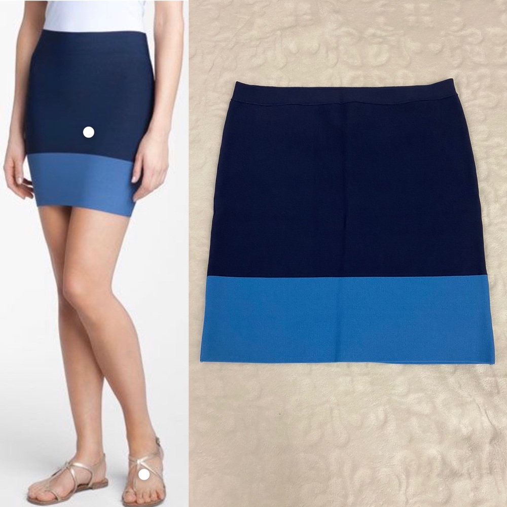 BCBG Max Azria Color block Skirt